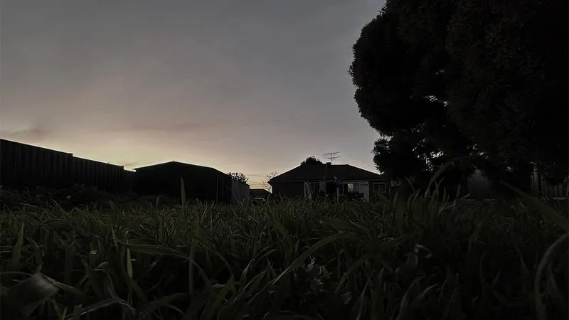 Bin Night, Short Film, still frame